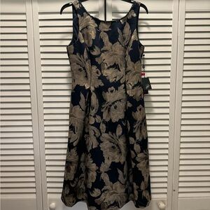 Adrianna Papell cocktail dress.  Smoke free/pet free home.
